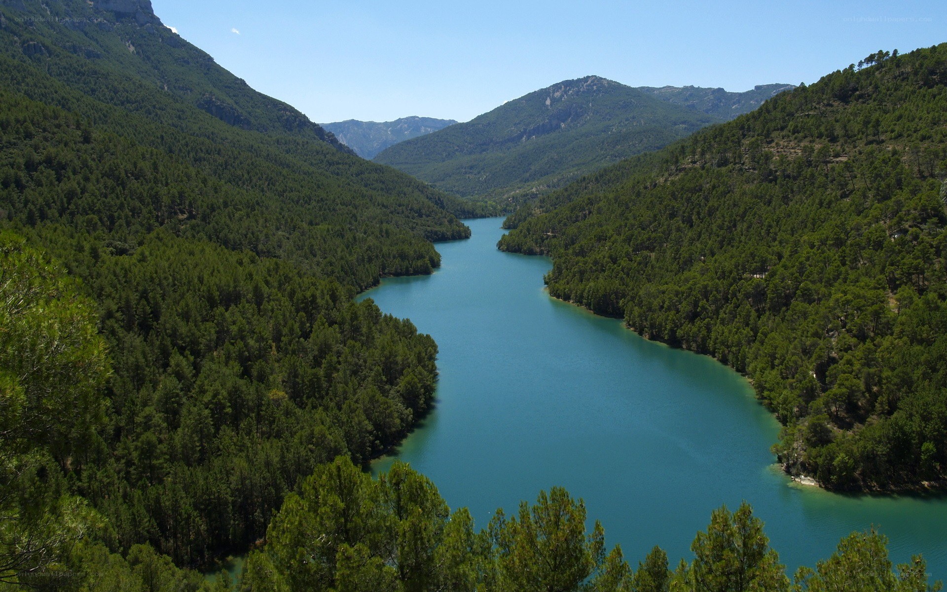 River in a forested valley