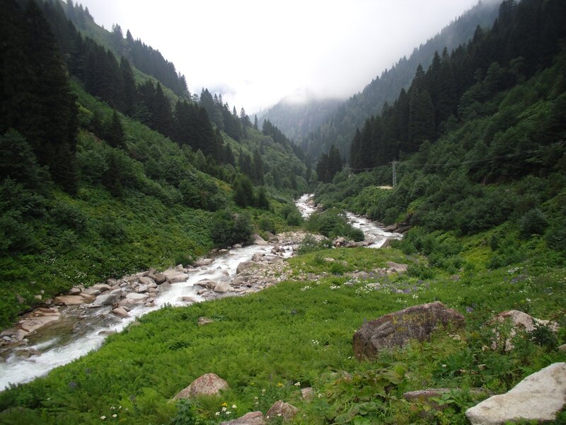 river in a forested valley