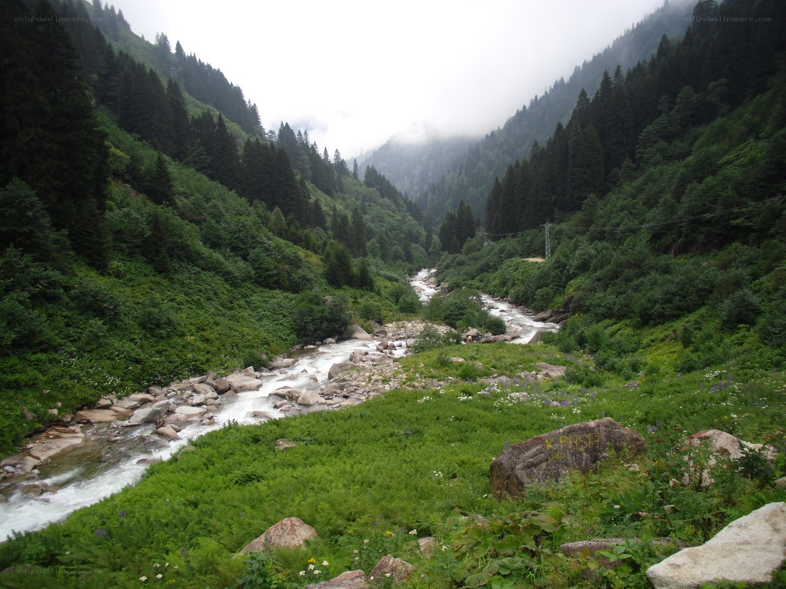 river in a forested valley