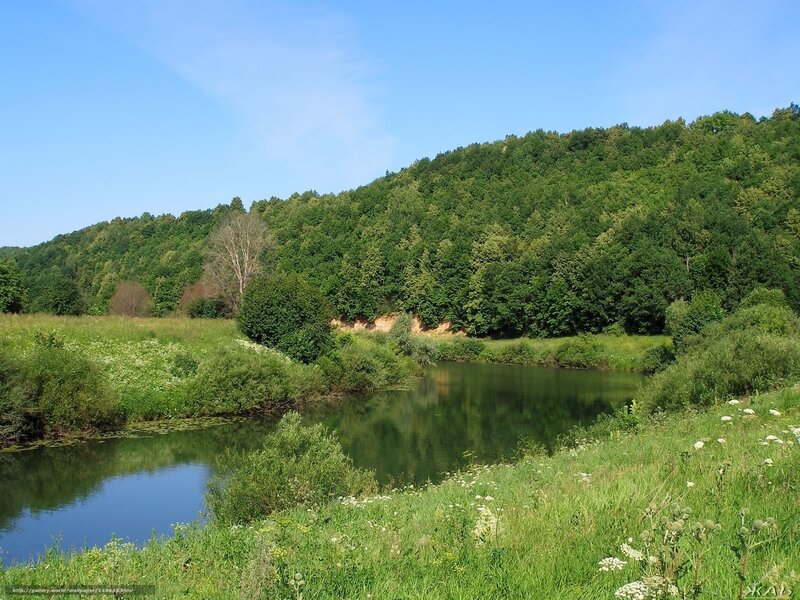 River in a forested valley