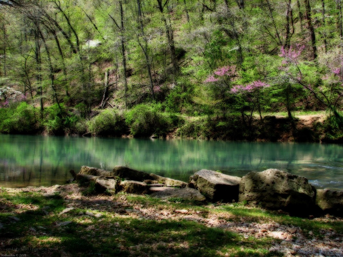 River in a forested valley