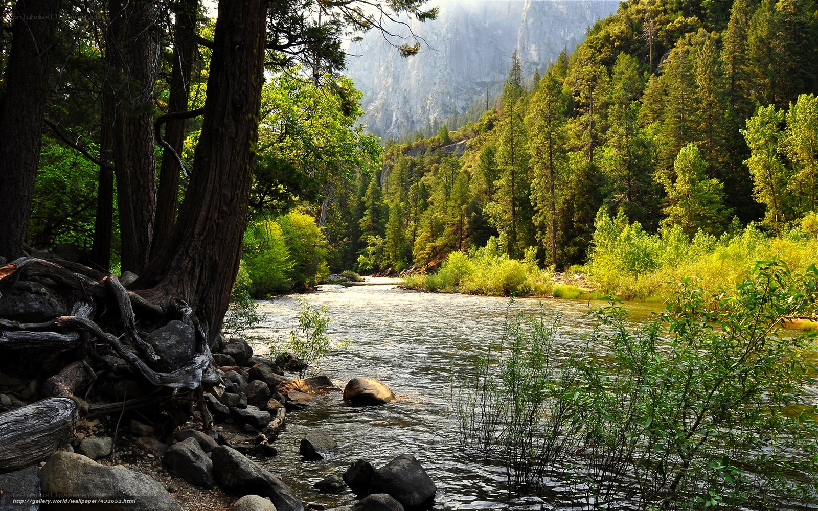 River in a forested valley