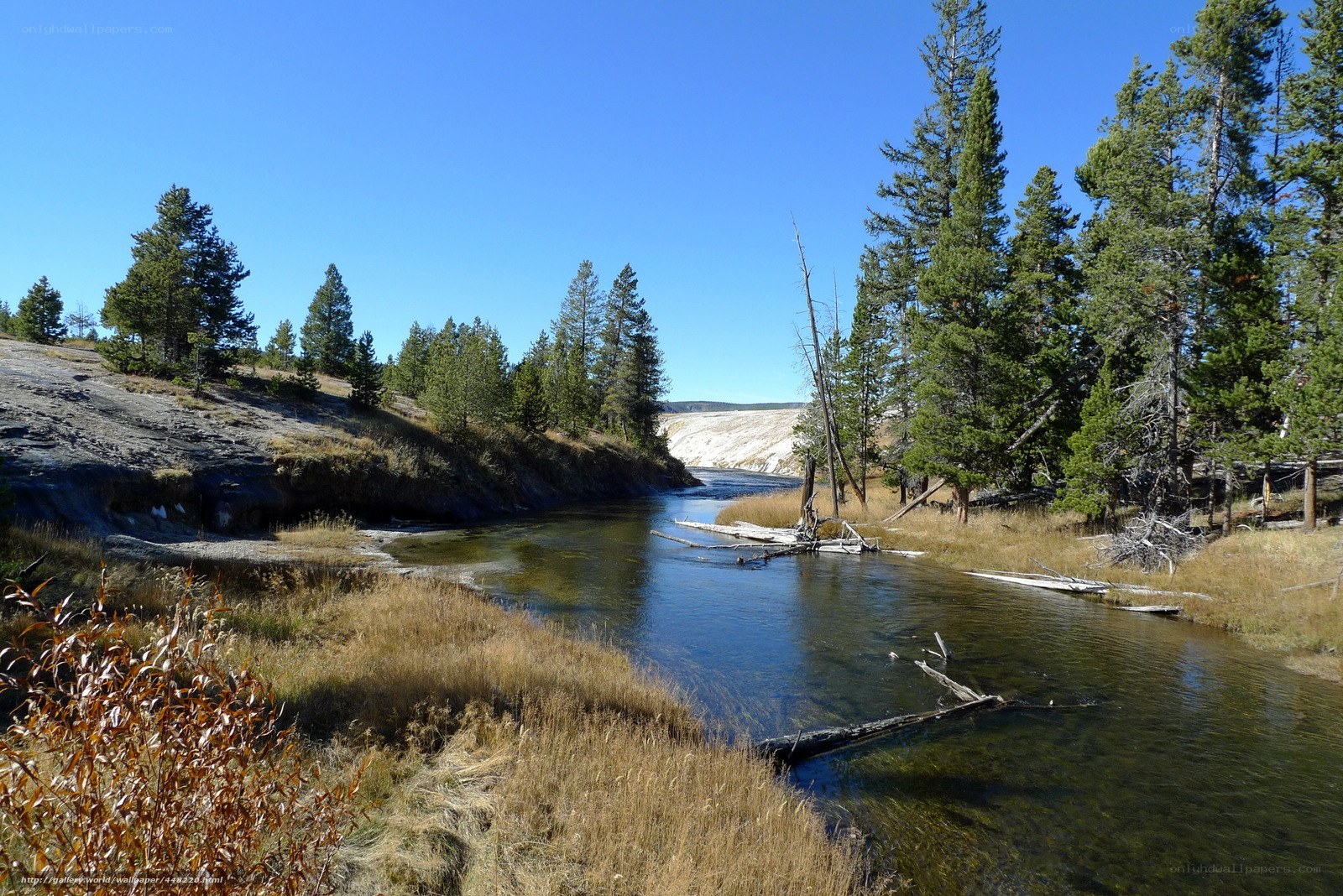 River in a forested valley