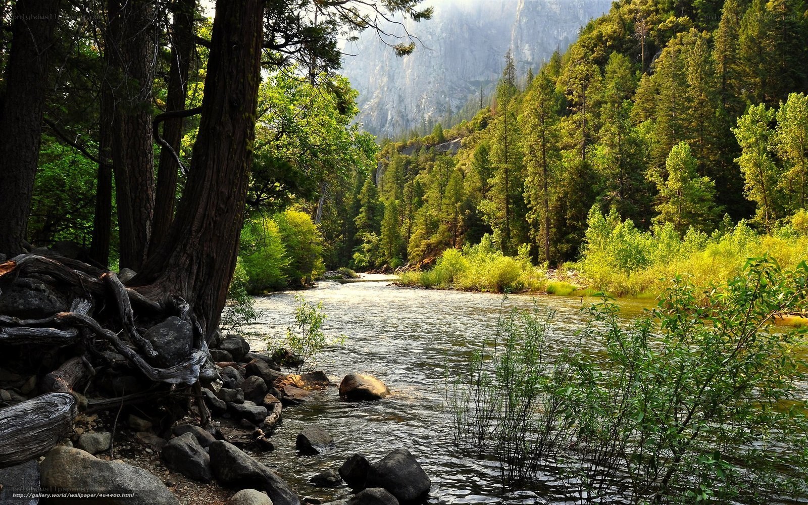 River in a forested valley