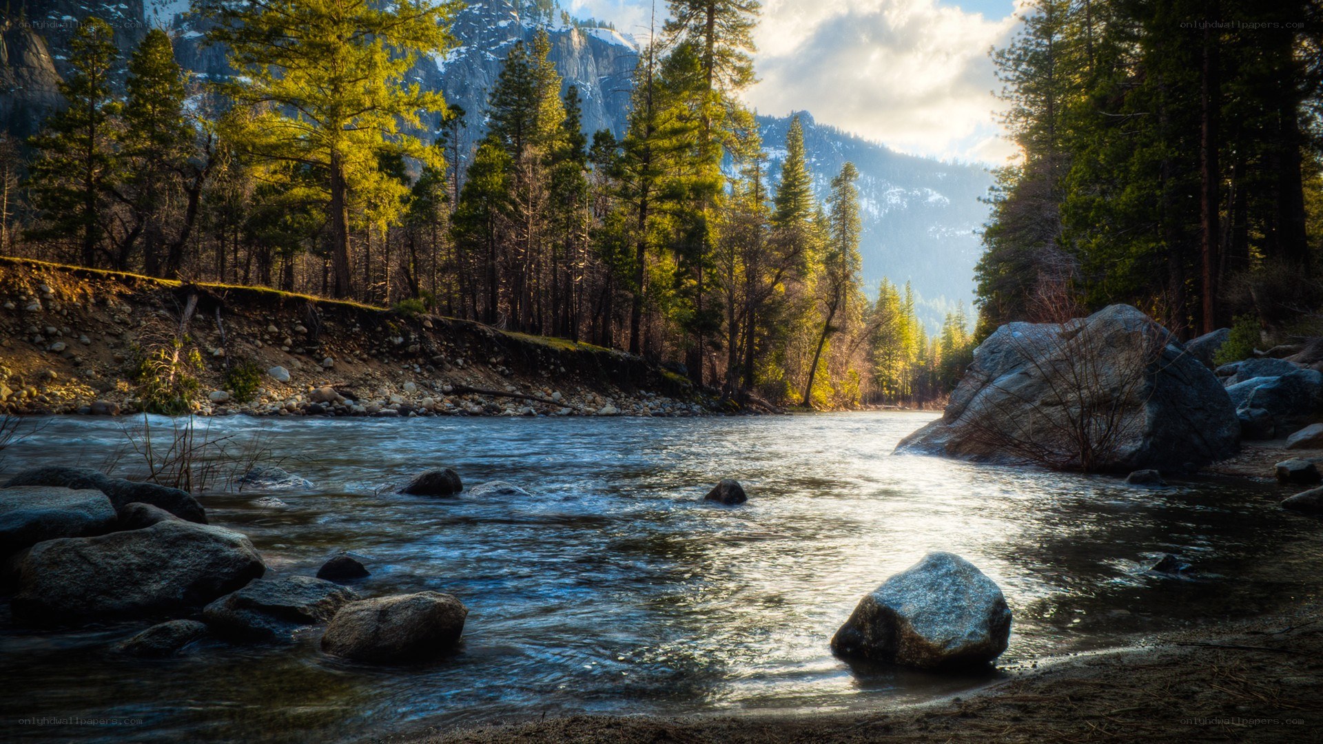 River in a forested valley