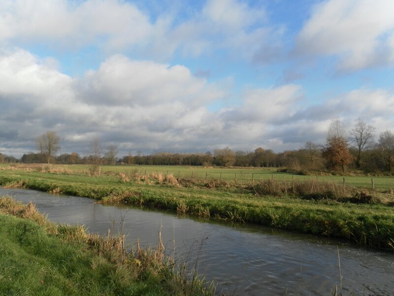 River in a green field