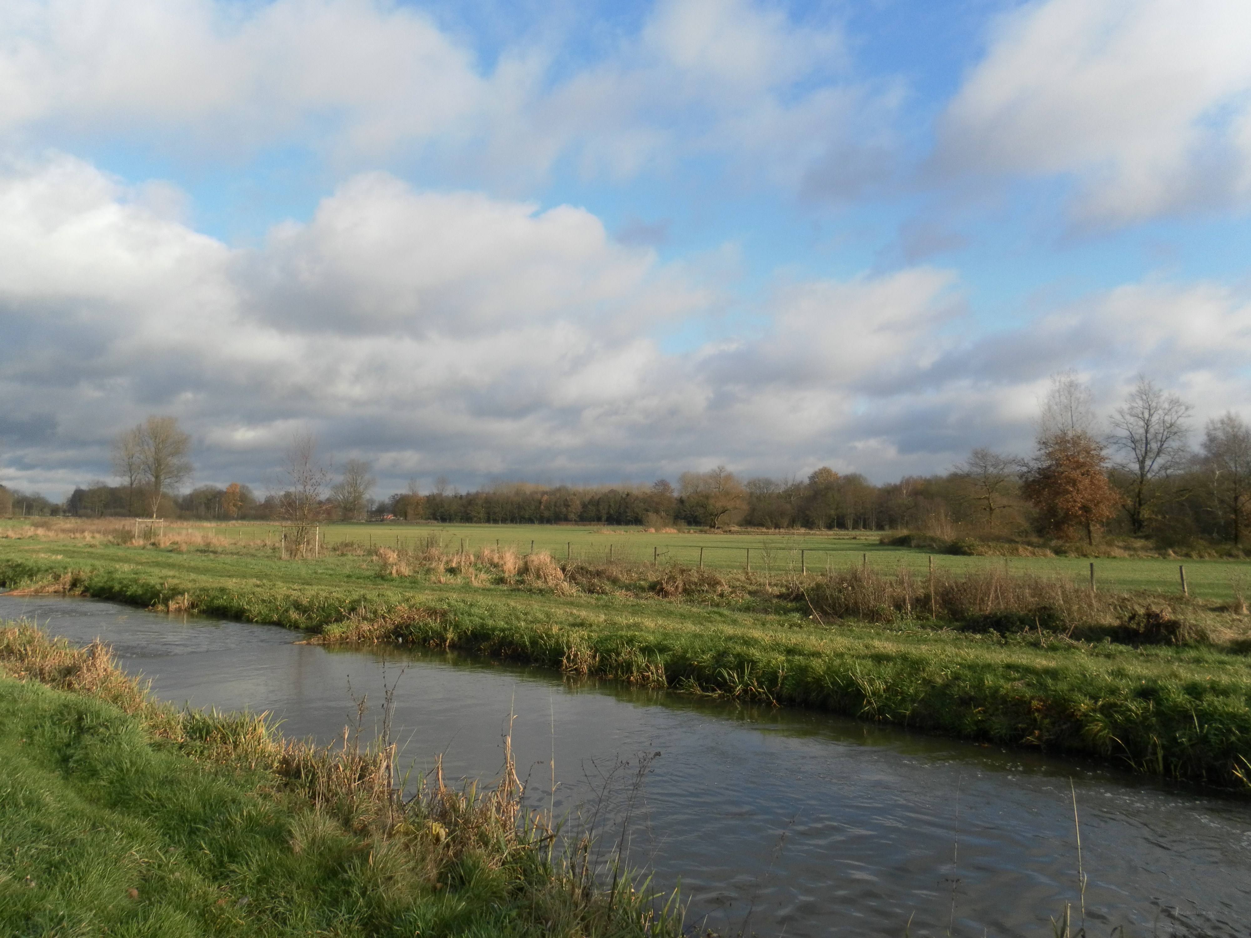 River in a green field