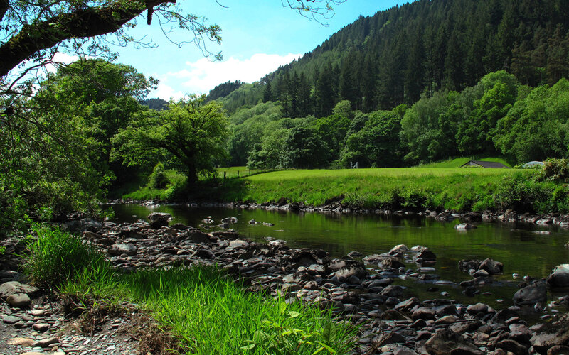 River in a green valley