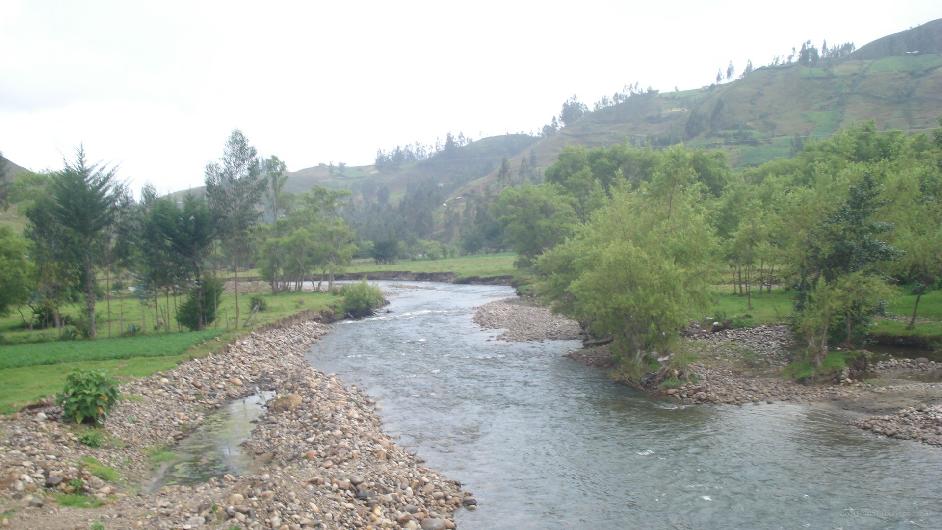 River in a green valley