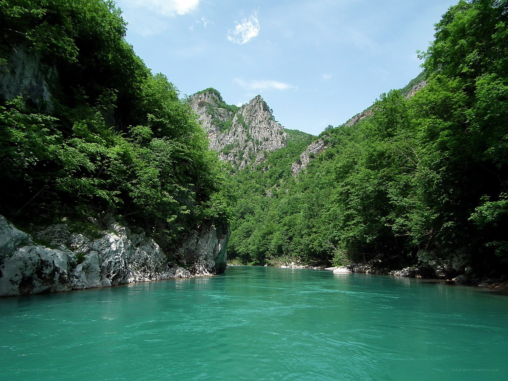 river in a lush canyon