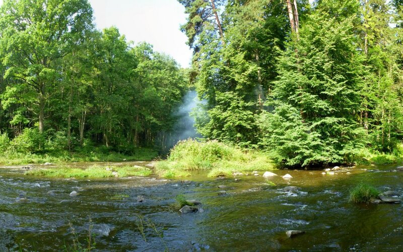 River in a lush forest