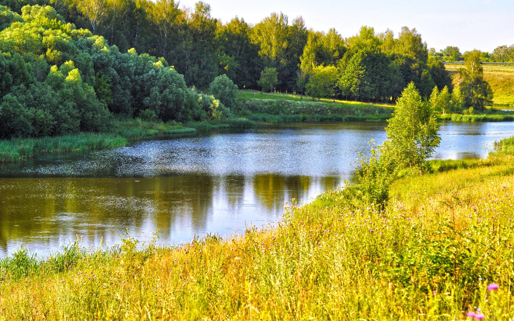 River in a lush green landscape