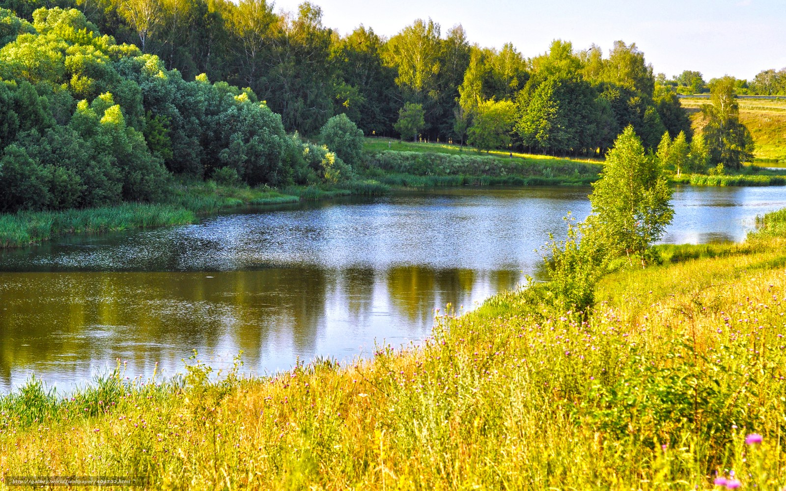 River in a lush green landscape