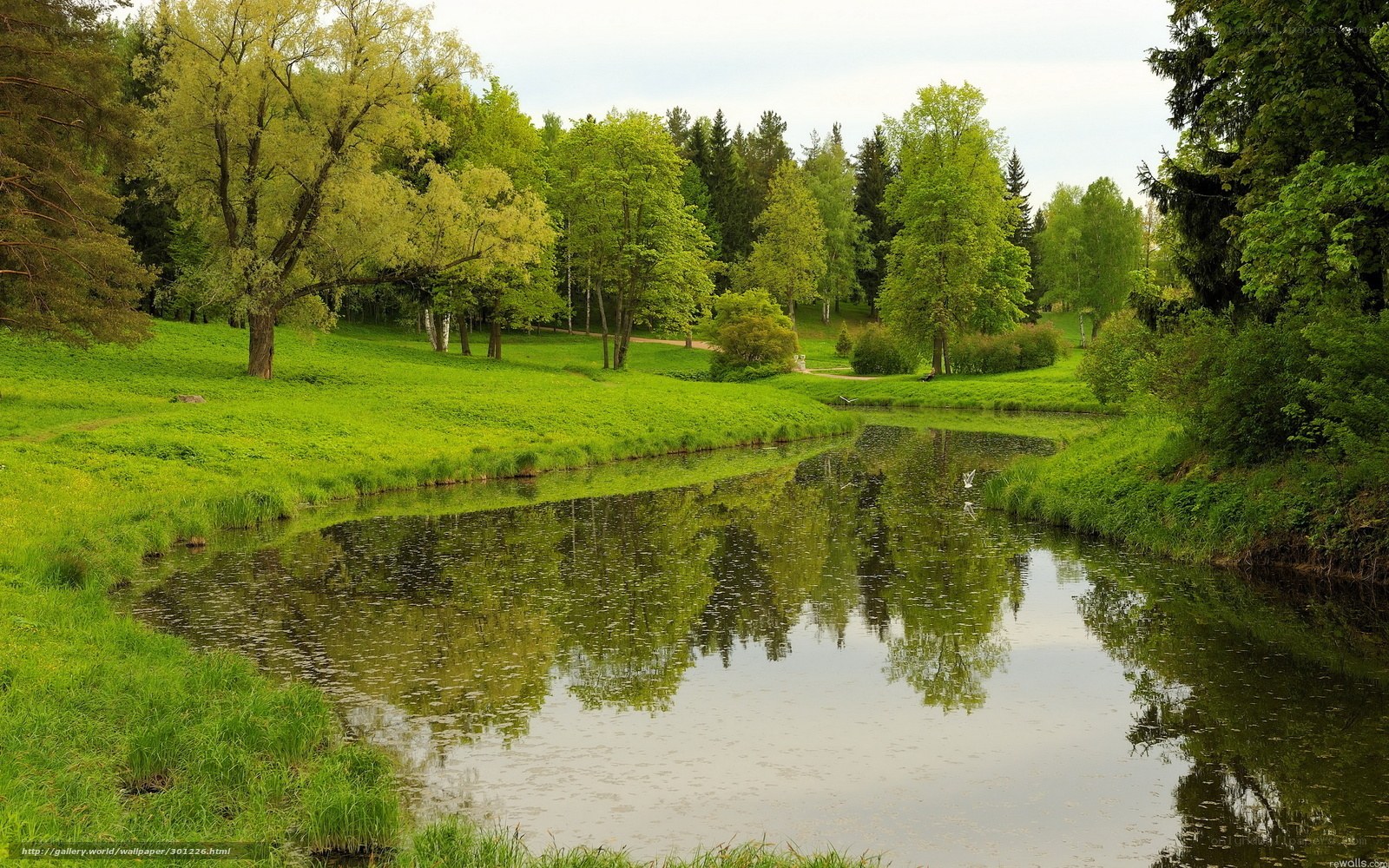River in a lush green park