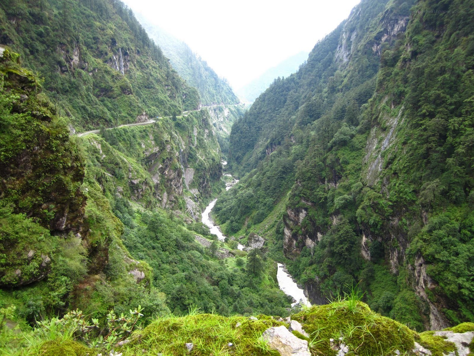 river in a lush green valley