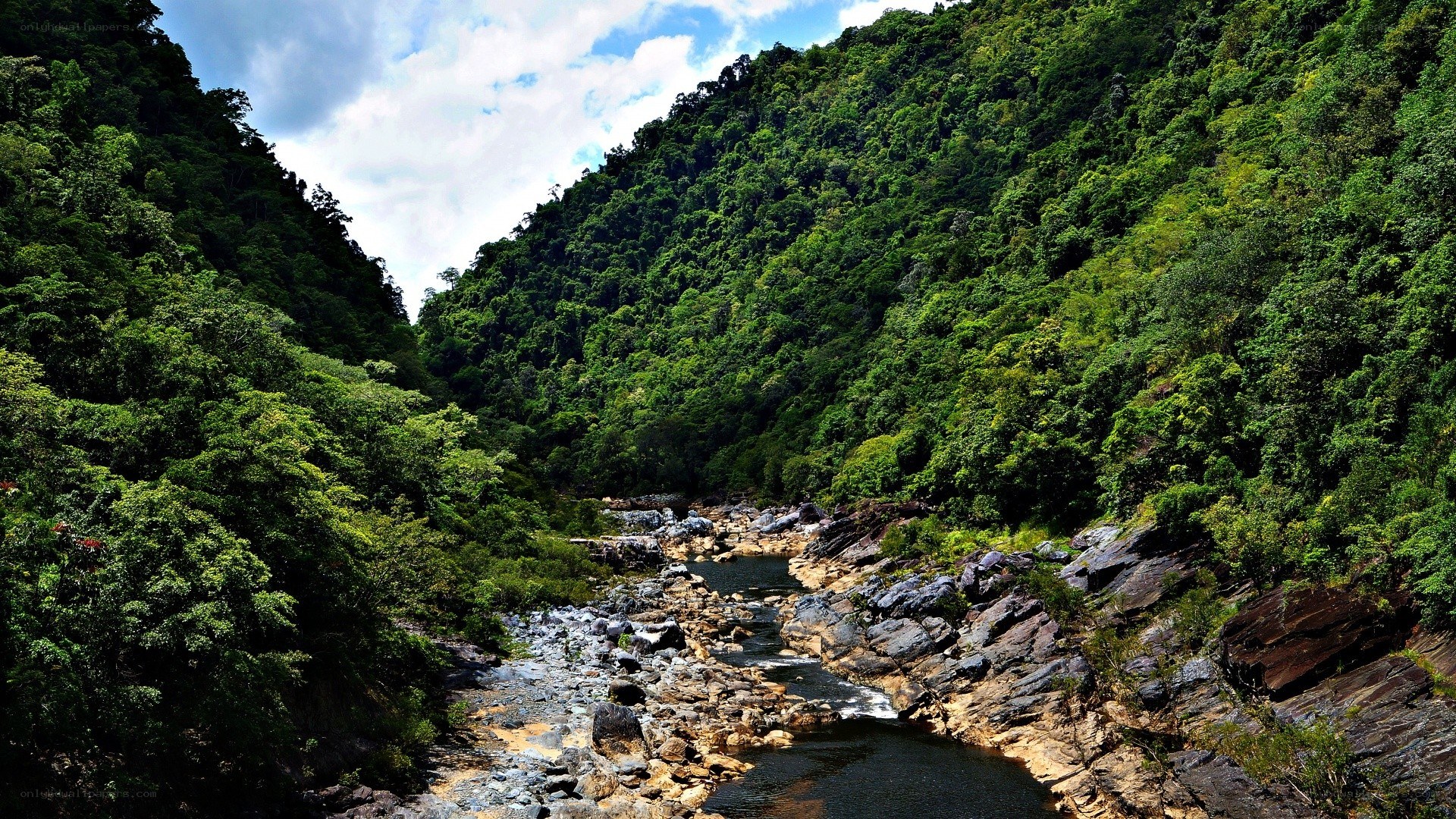 River in a lush green valley