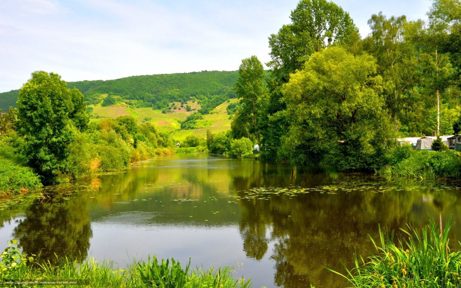 River in a lush green valley