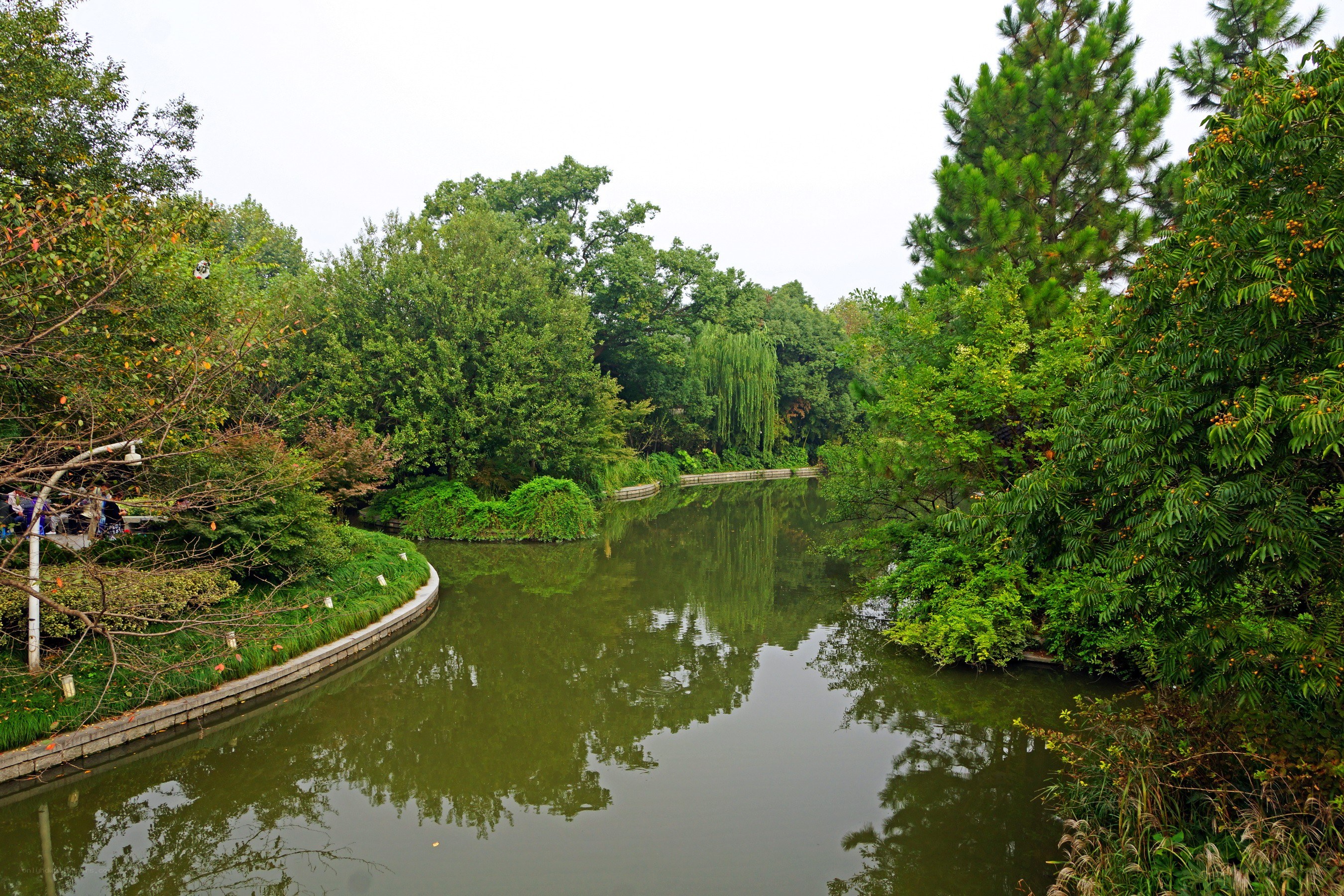 River in a lush park