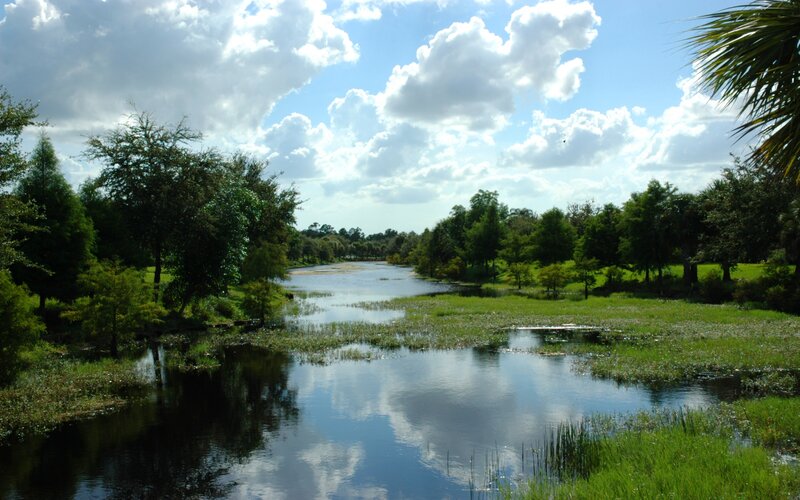 River in a lush park