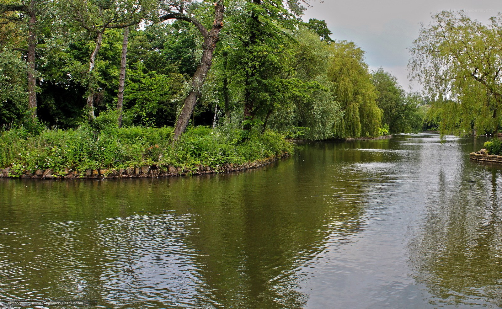 River in a lush park