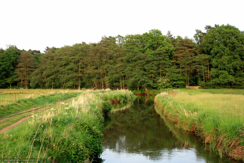 River in a Meadow