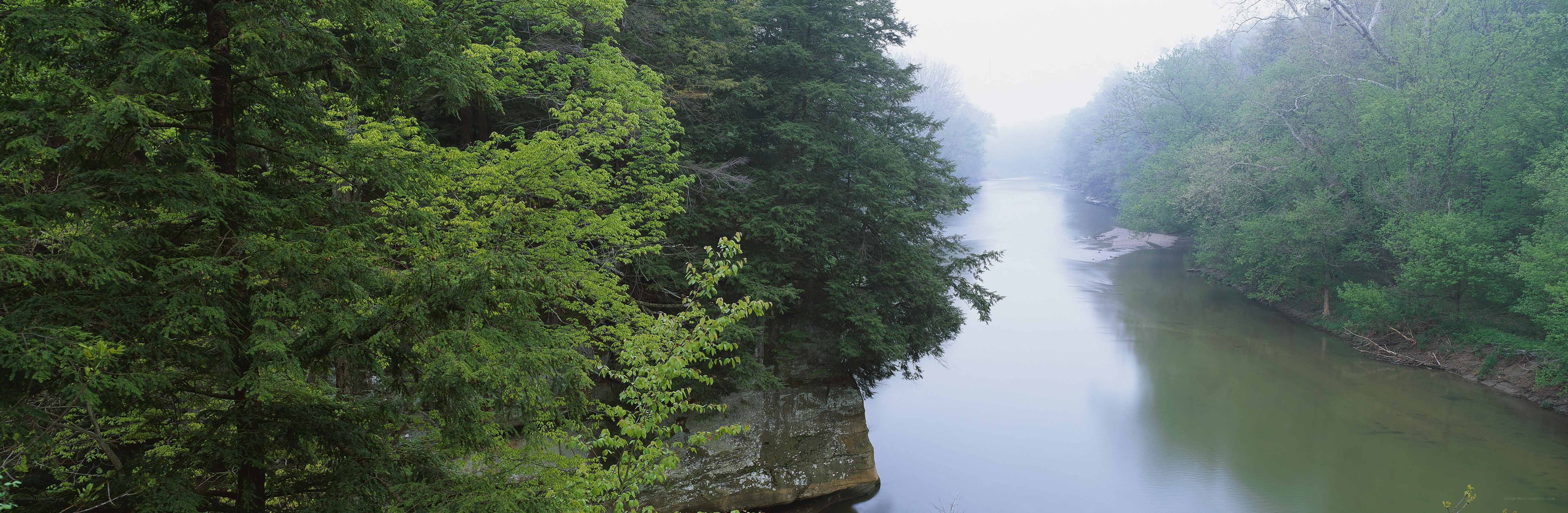 River in a misty forest