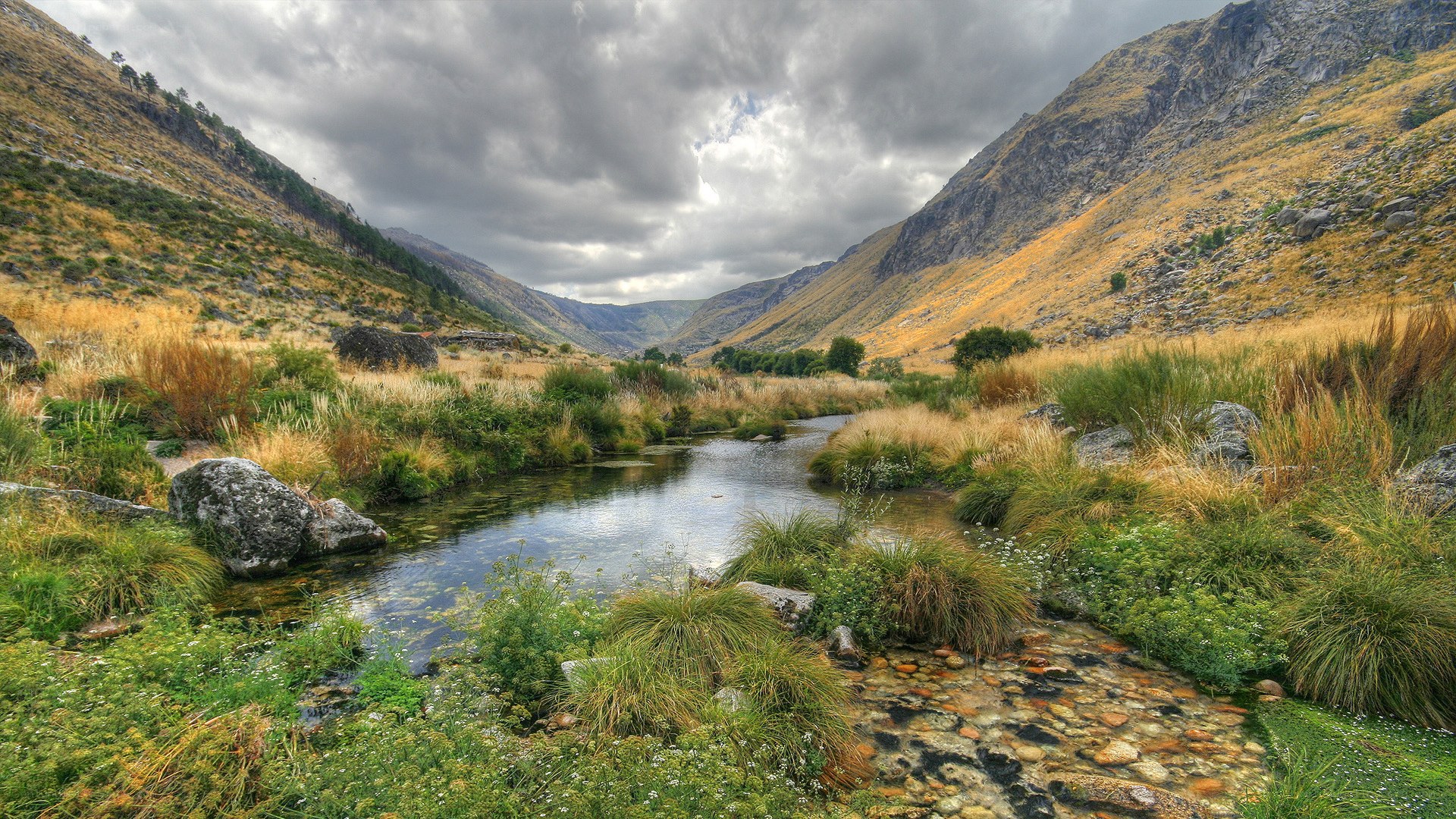 River in a mountain valley