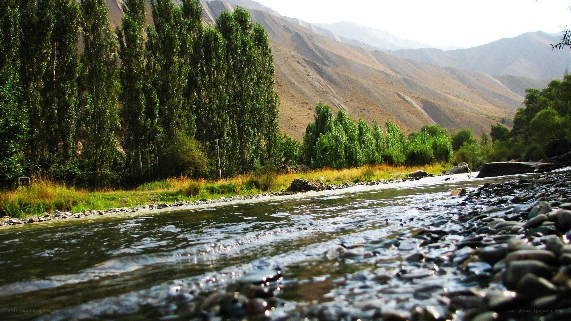 River in a mountain valley