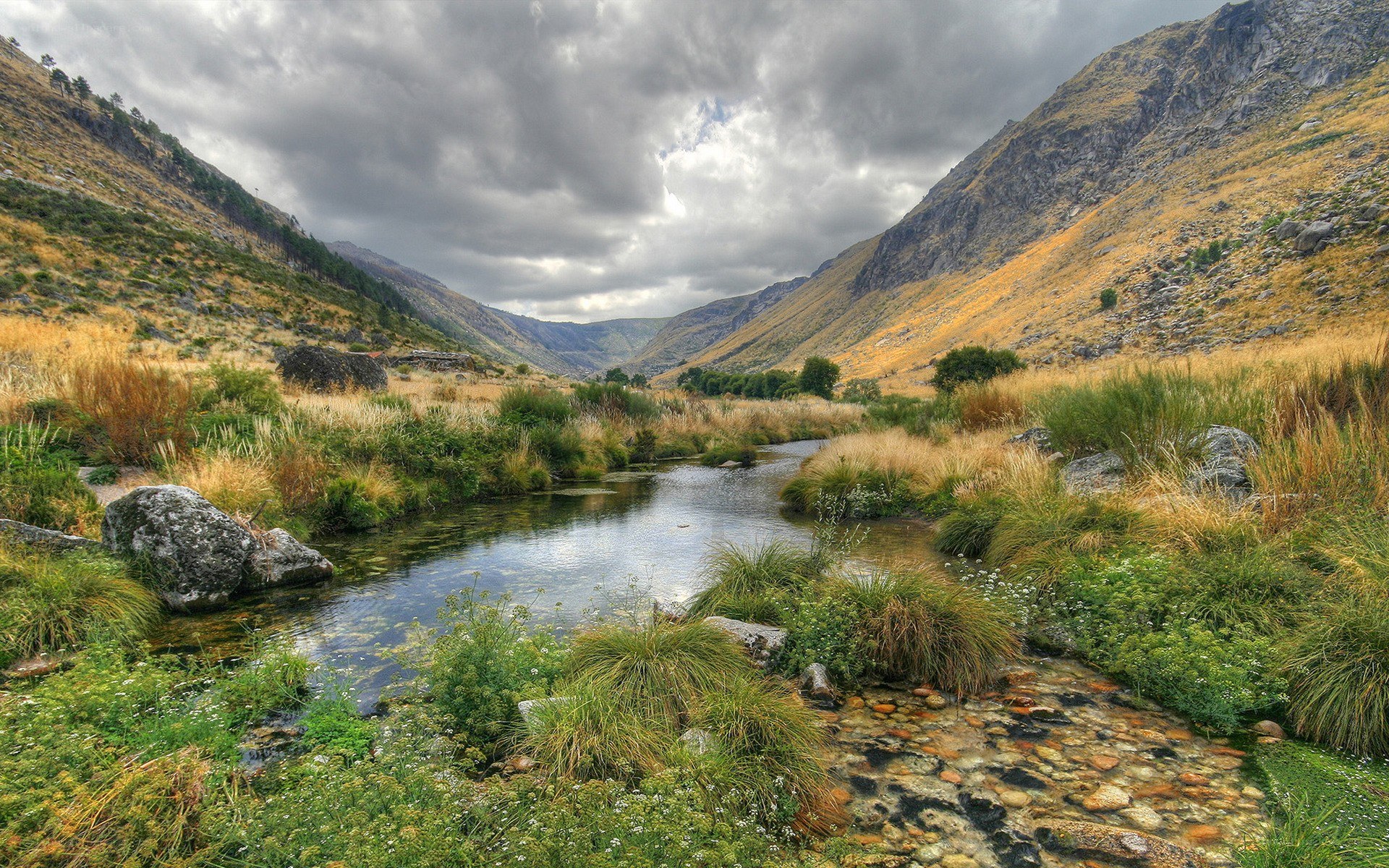 River in a mountain valley
