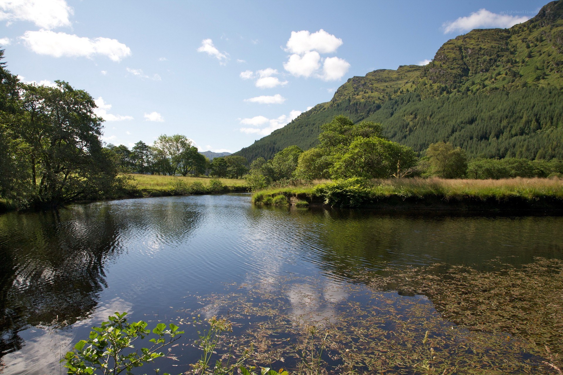 River in a mountain valley