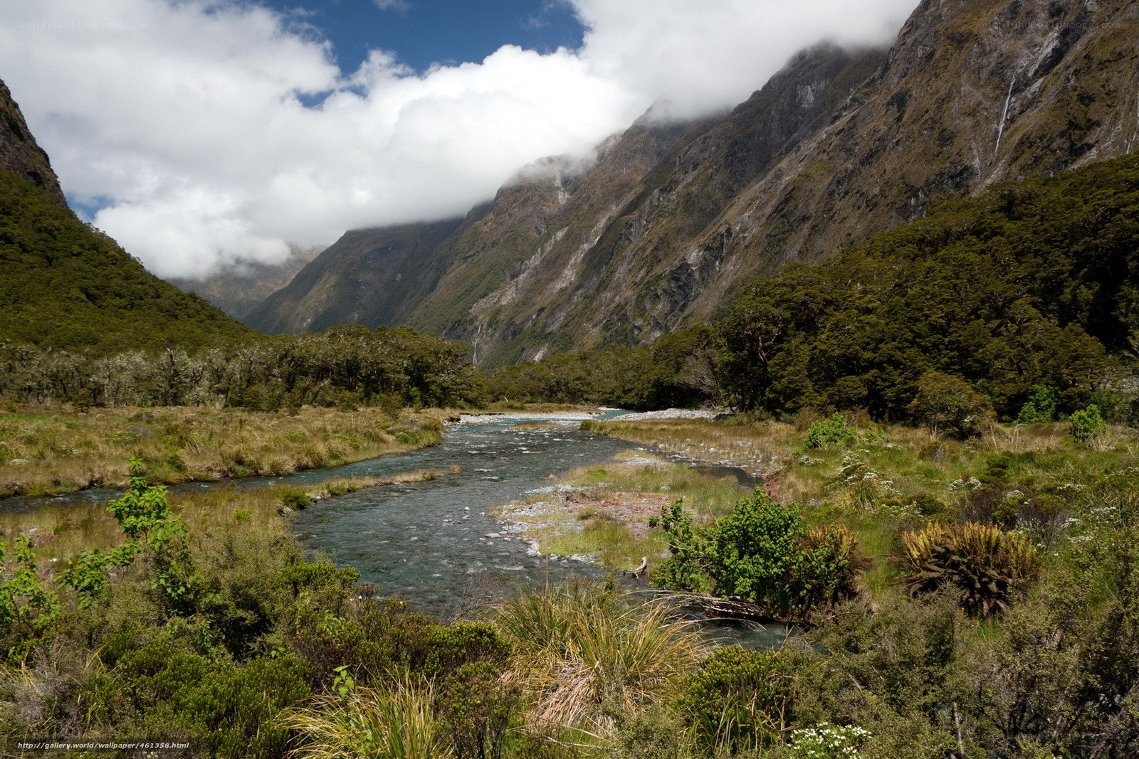river in a mountain valley