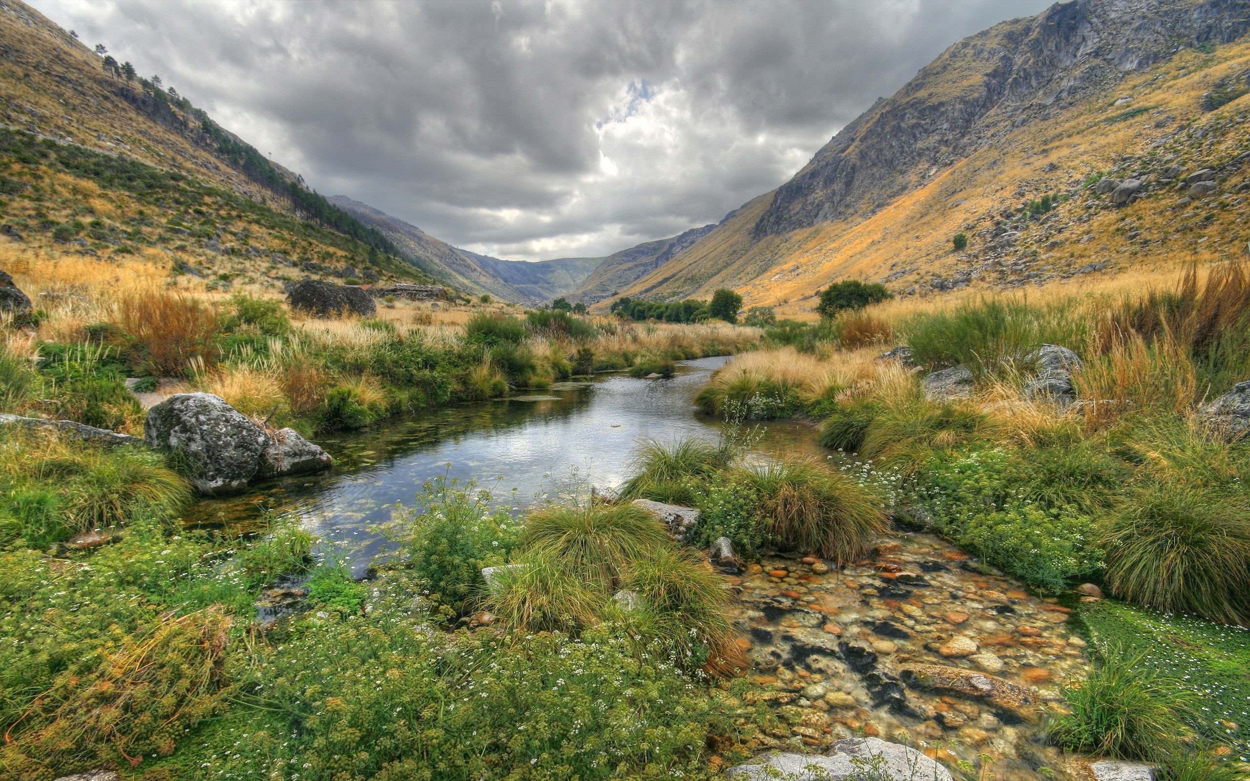 River in a mountain valley
