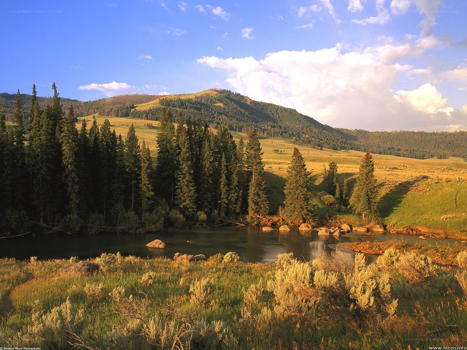 River in a mountain valley