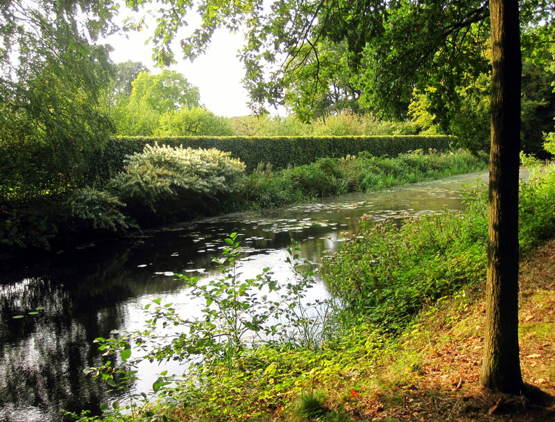 River in a Park — Green