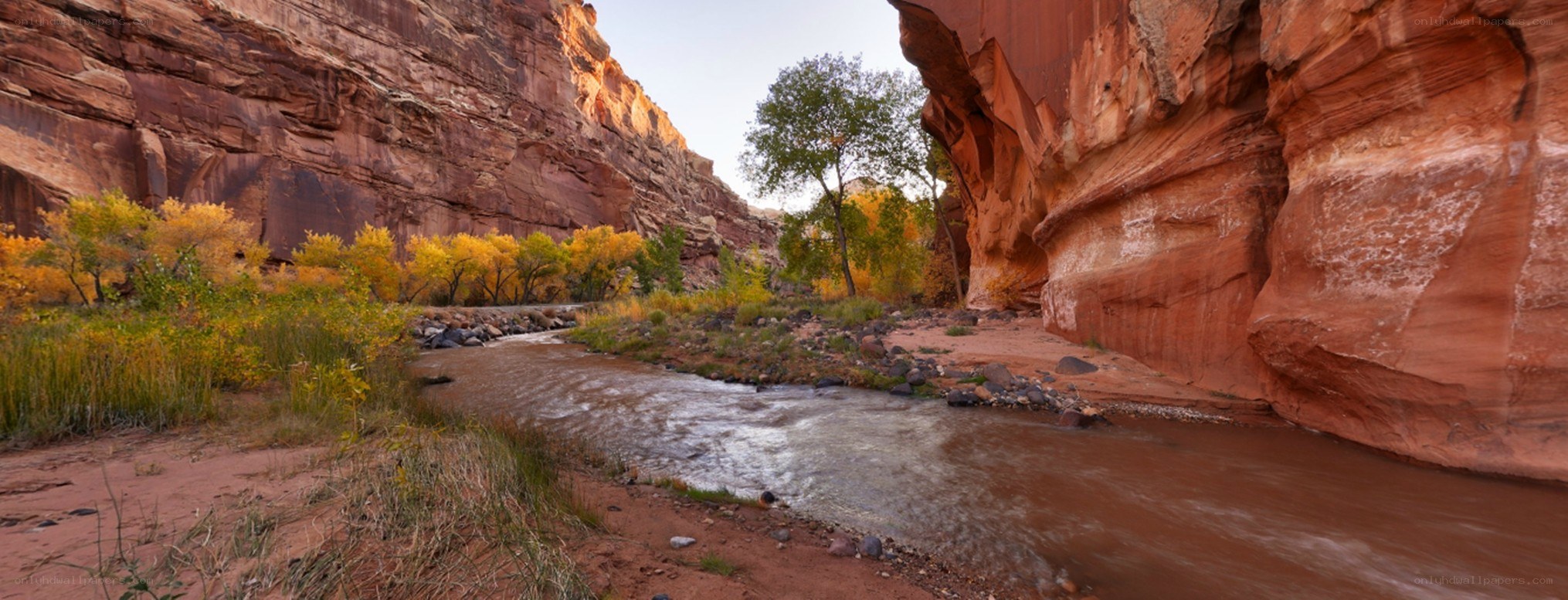 River in a red rock canyon