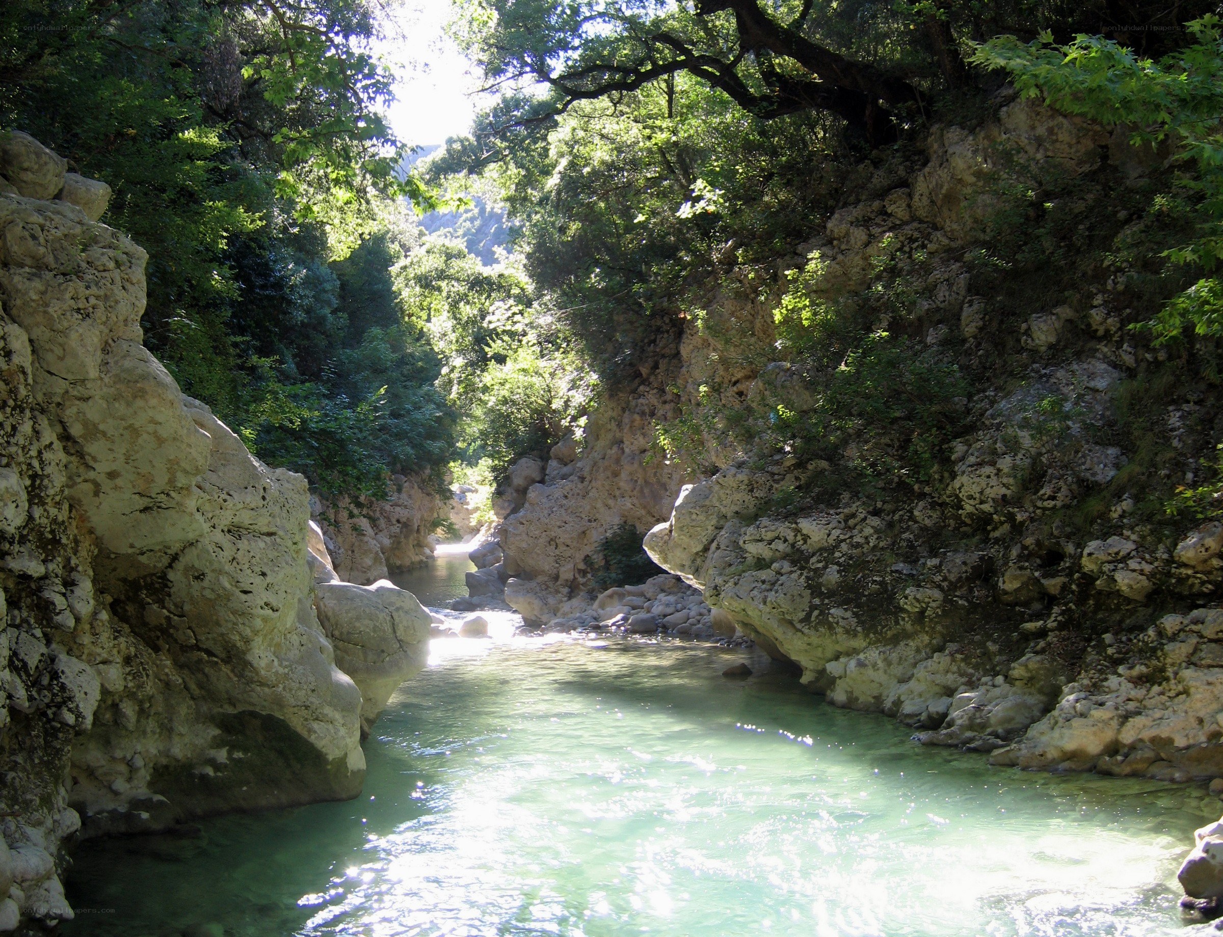 River in a rocky canyon