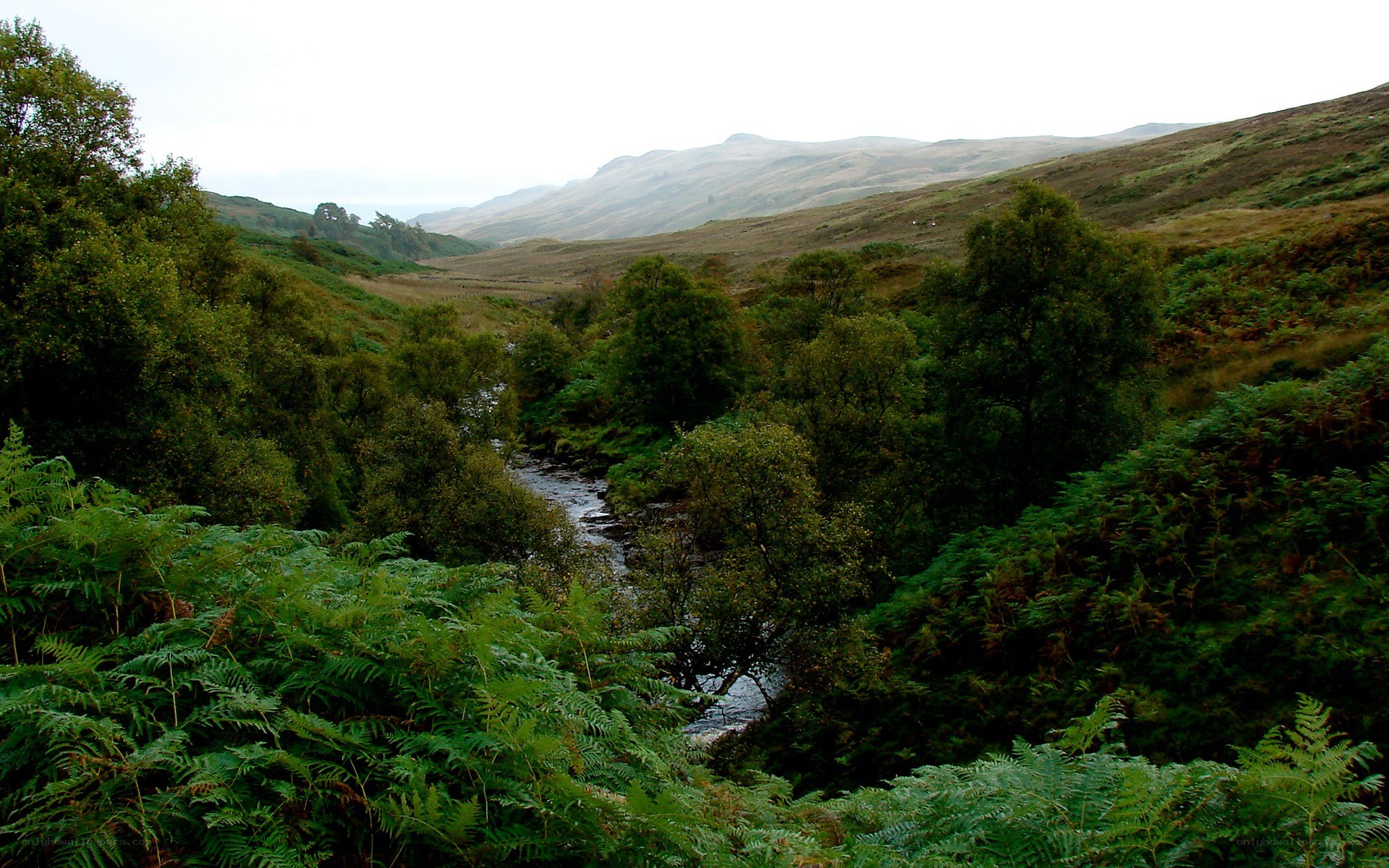River in a Scottish valley