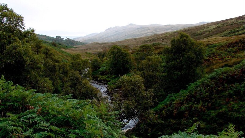 River in a Valley — Green, Serene