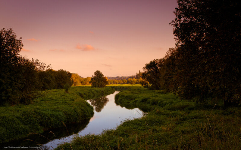 River in a Valley — Purple