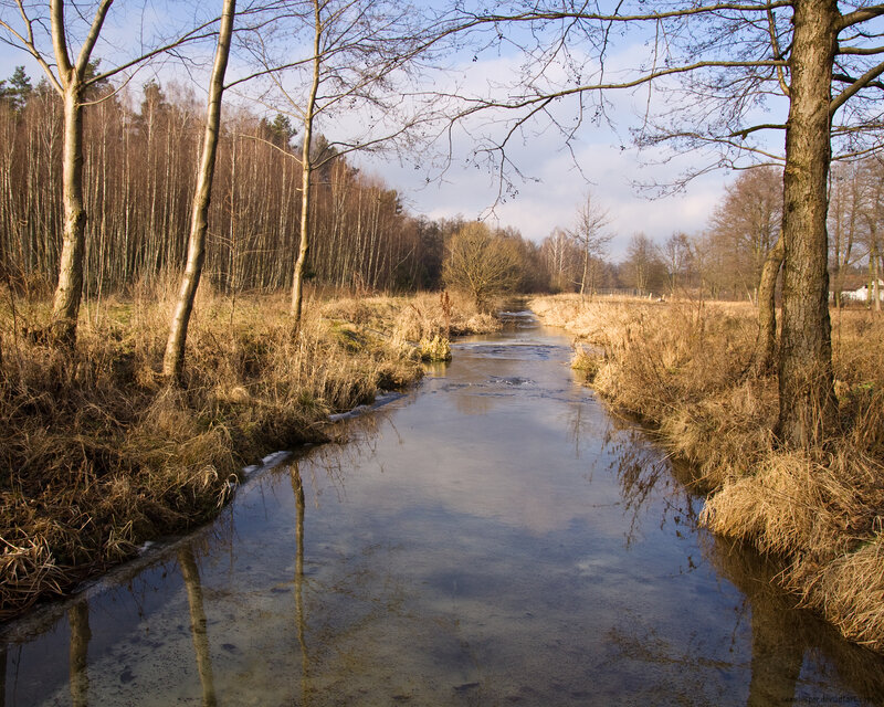 River in a winter forest