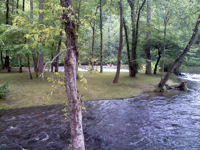 River in a wooded area