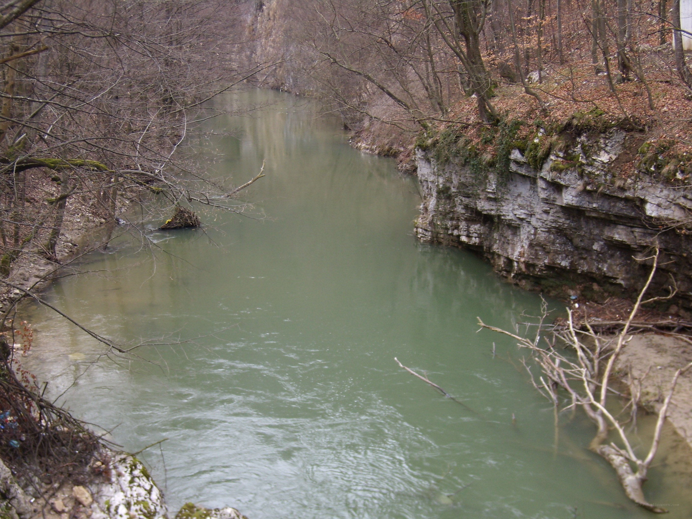 River in a wooded canyon