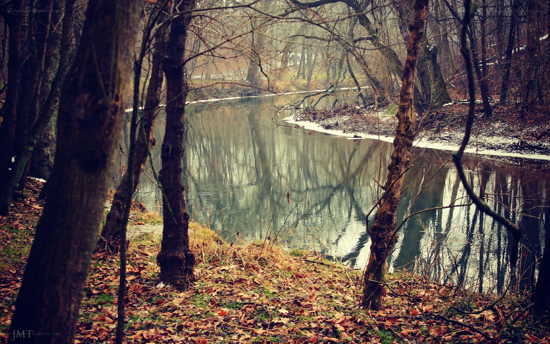 River in a wooded forest
