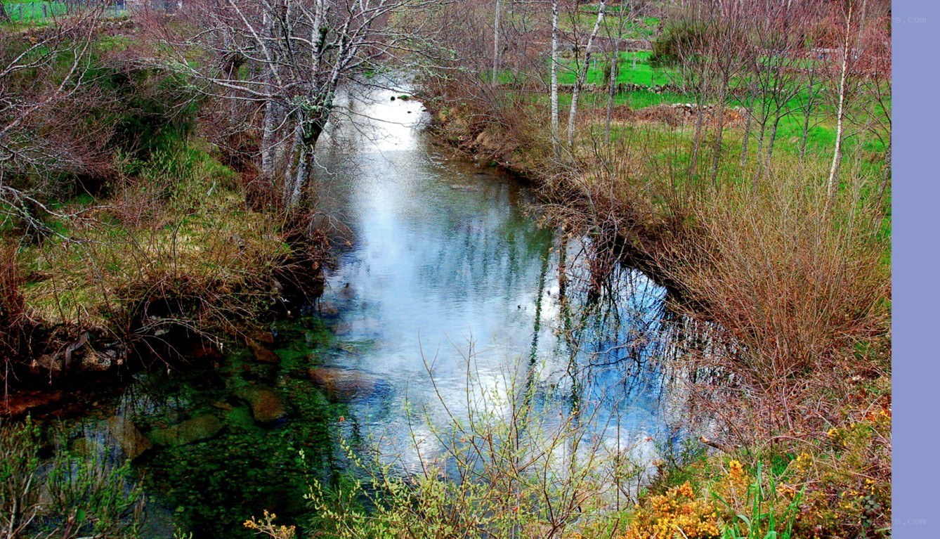 River in a wooded landscape