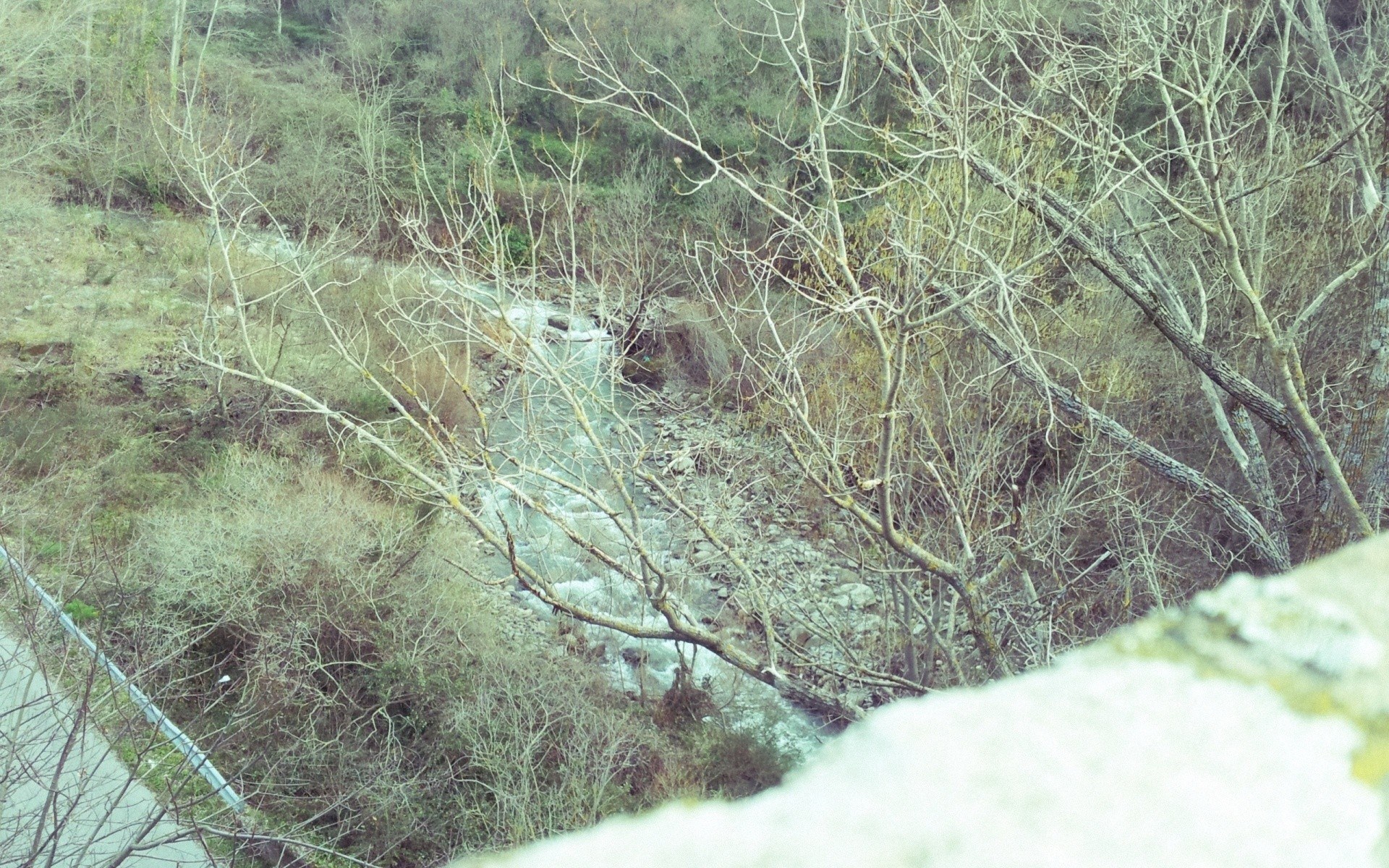 River in a wooded valley