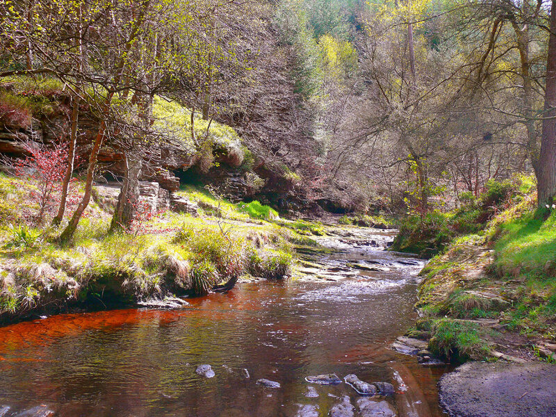 River in a wooded valley