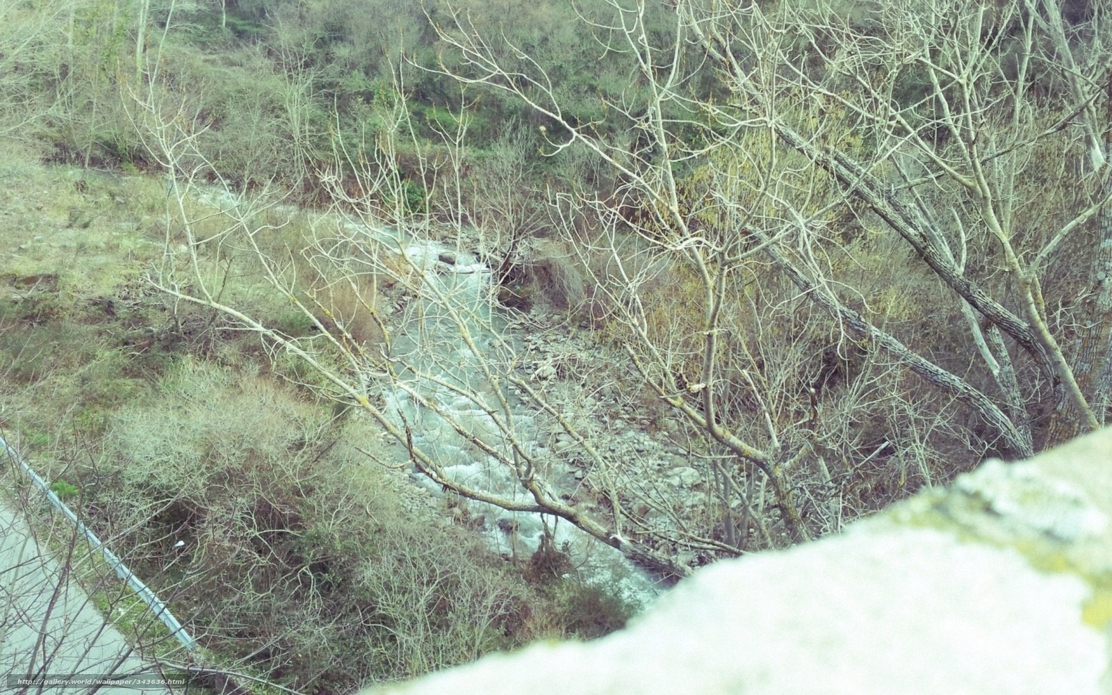 River in a wooded valley