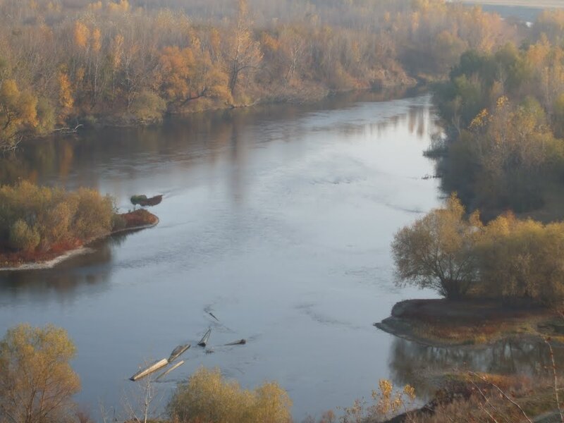 River in Autumn — Brown