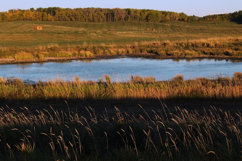 River in Autumn Field — Green