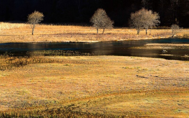 River in Autumn Field